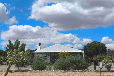 Landejendom i Yecla, Murcia, Yecla - € 225.000 | Ref: SF0527 - foto 22